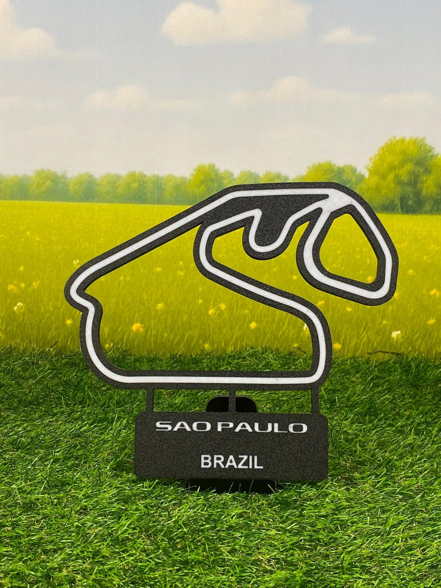 Sao Paulo - Brazil - Polythink3D