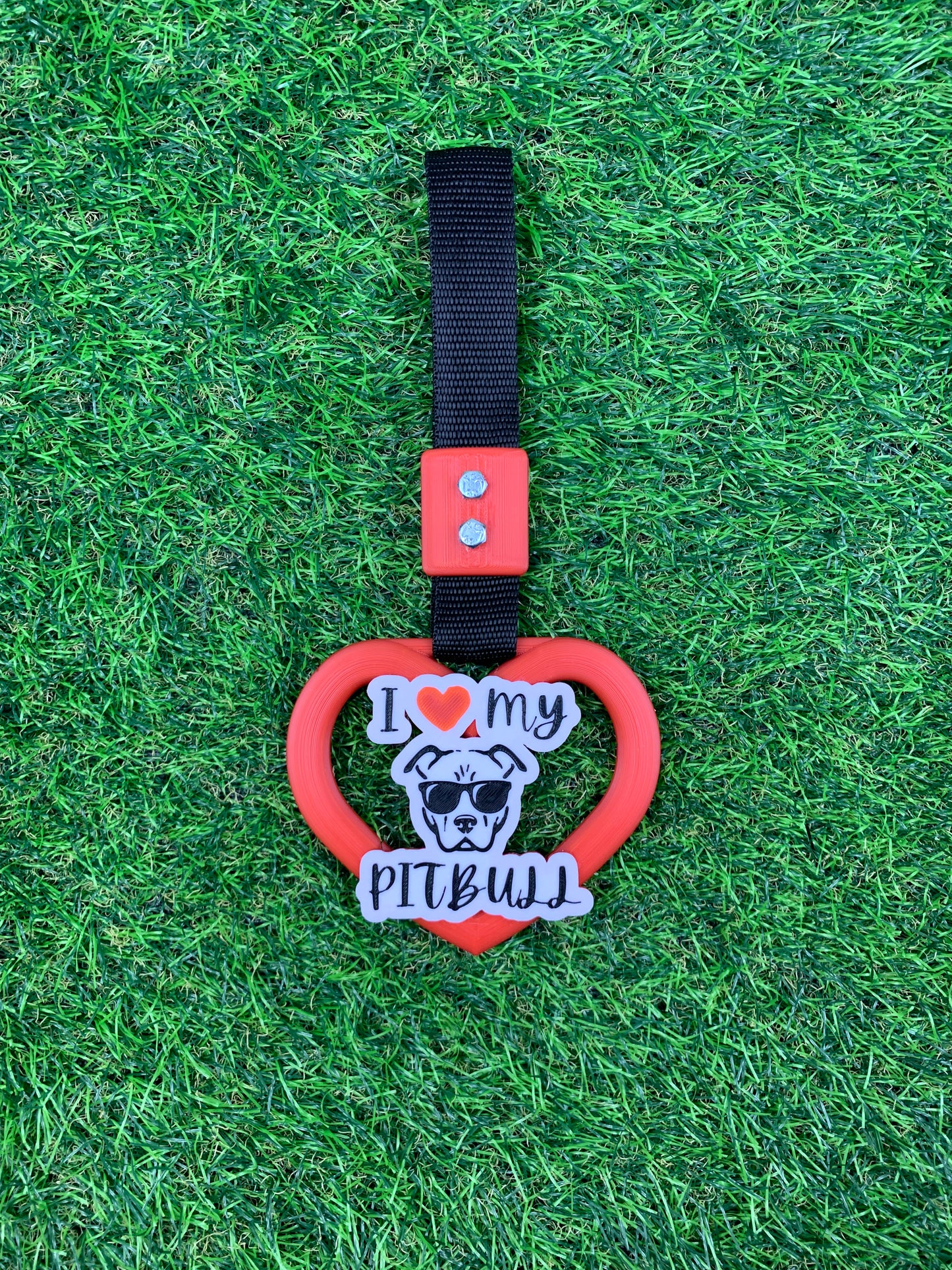 I Love Pitbull ❤️