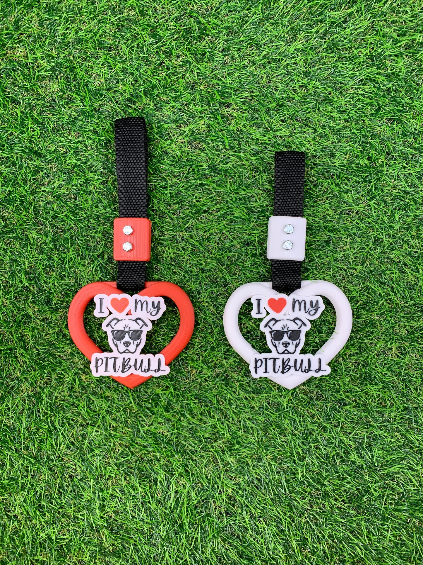 I Love Pitbull ❤️