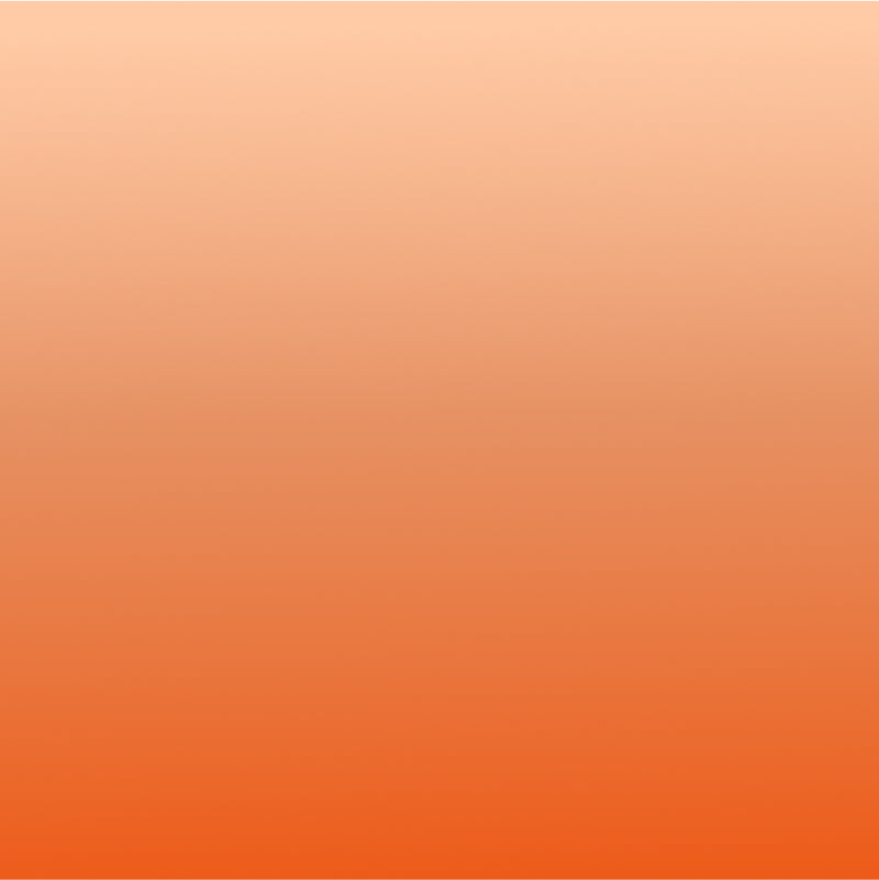 Bambu PLA Basic Gradient